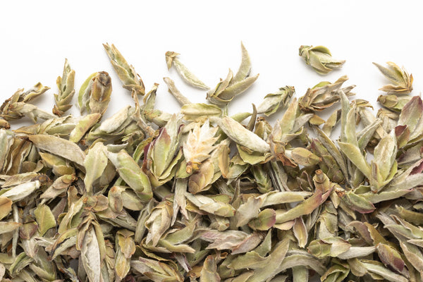 thé blanc - Nan Mei Bourgeons de Théiers Sauvages - Divins Nectars