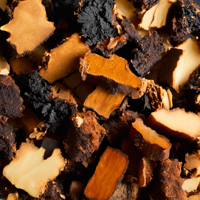 Chaga morceau Bas prix - Divins Nectars