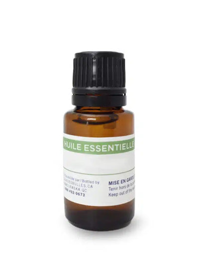 huile essentielle quai des bulles