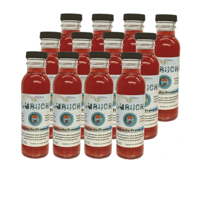 lot bouteille de verre - bouteille 350 ml - lakas kombucha divins nectars