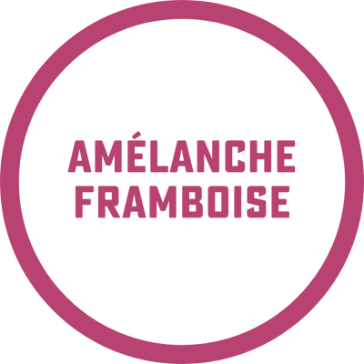 amelanche framboise kombucha