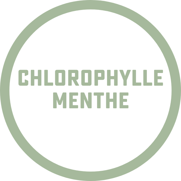KEG - Chlorophylle-Menthe