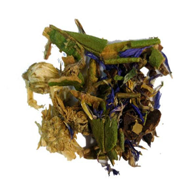 divine et thé avec the labrador lévis