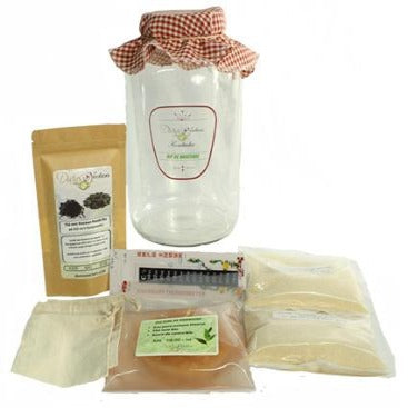 KIT BRASSAGE KOMBUCHA - Divins Nectars