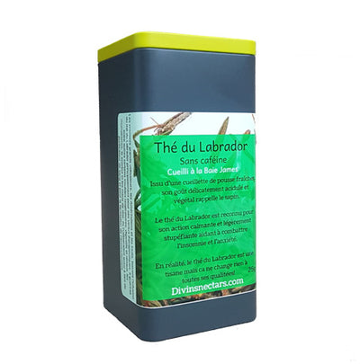 Thé du Labrador - Divins Nectars - the du labrador lévis