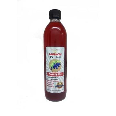 Remplissage kombucha en vrac 500ml