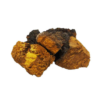 chaga en morceau