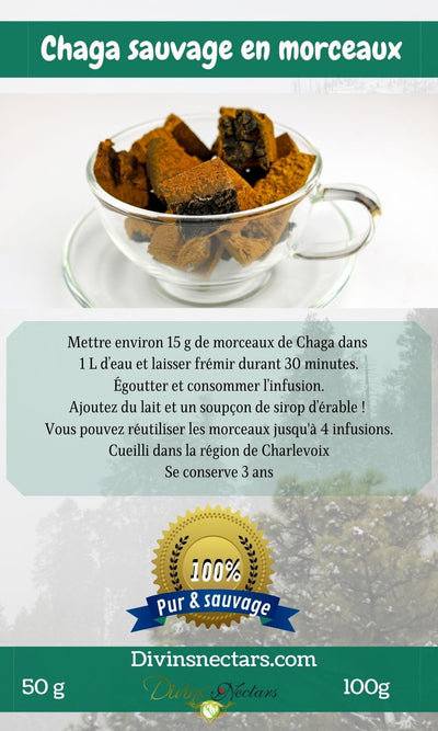 Chaga en morceau