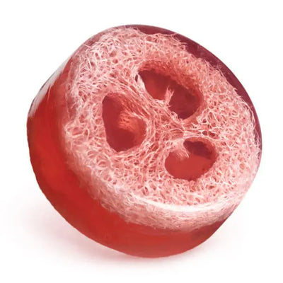 savon glycerine luffa fruit passion quai des bulles