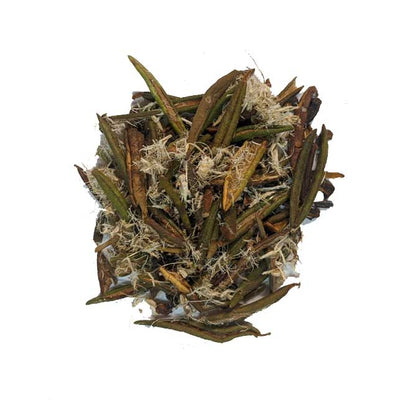 infusion solstice d'hiver avec the du labrador lévis